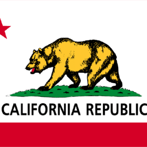 California State Flag - 3x5 Nylon