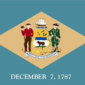 Delaware State Flag - 3x5 Nylon