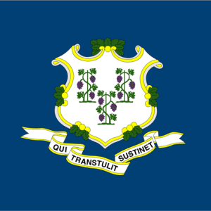 Connecticut State Flag - 3x5 Nylon
