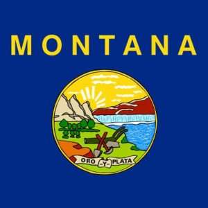 Montana State Flag - 3x5 Nylon