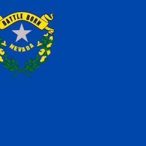 Nevada State Flag - 3x5 Nylon