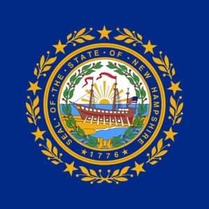 New Hampshire State Flag - 3x5 Nylon
