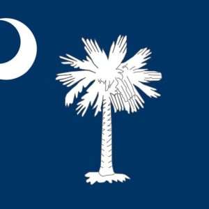 South Carolina State Flag - 3x5 Nylon
