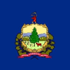 Vermont State Flag - 3x5 Nylon