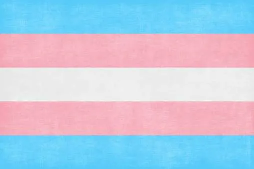 Transsexual Flag