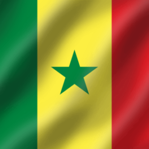 Flag of Senegal with green star.