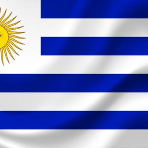 Uruguay flag with sun emblem and blue stripes