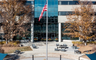 What Does a Flag Add to a Business Property?
